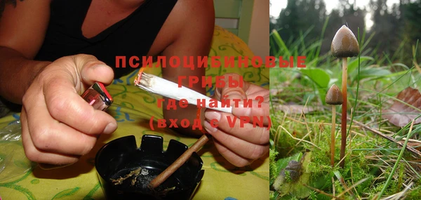 дмт Алексеевка