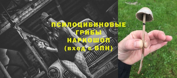 дмт Алексеевка