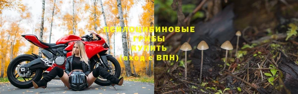 прущая мука Алзамай